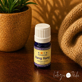 17026.jpg