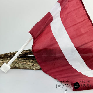 19537.jpg